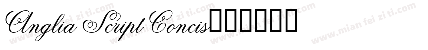 Anglia Script Concis字体转换